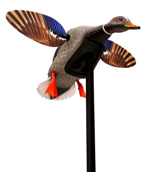 Mojo HW2470 Elite Series Mini Mallard Drake Decoy