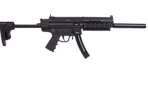 German Sport Guns 20 + 1 22 LR Carbine w/Titanium Finish