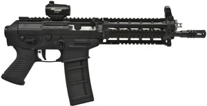 Sig Sauer P556 SWAT 223 Rem/5.56 10" 30+1 Quad Rail Syn Grip Blk - P55610BSSMR