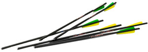 Excaliber Aluminum Arrows Firebolt - 2216V206