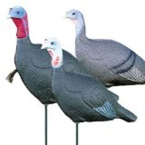 Feather Flex 2 Jakes & 1 Hen Decoy