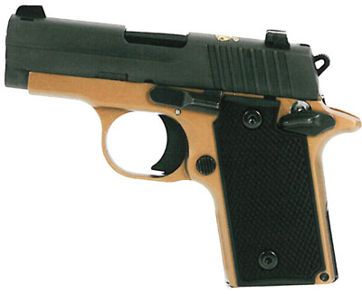 SIG 238 380 6RD FS