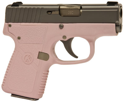 Kahr Arms Polymer 380 Automatic Colt Pistol (ACP) 2.5