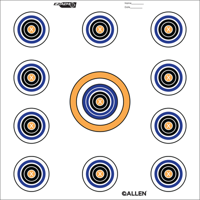 EZ Aim 11-Spot Targets 12x12 Inch Twelve Per Package