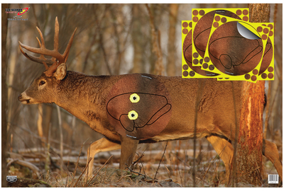 Eze-Scorer With Shoot-N-C Overlay Whitetail Deer Targets 23x35 Inch Two Folded Deer With Four 8-Inch Overlays