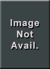 SW BBL 5.5 MODEL 41