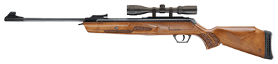 RWS BROWNING GOLD AIR RIFLE