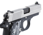 XS DXW STANDARD DOT SIG P238