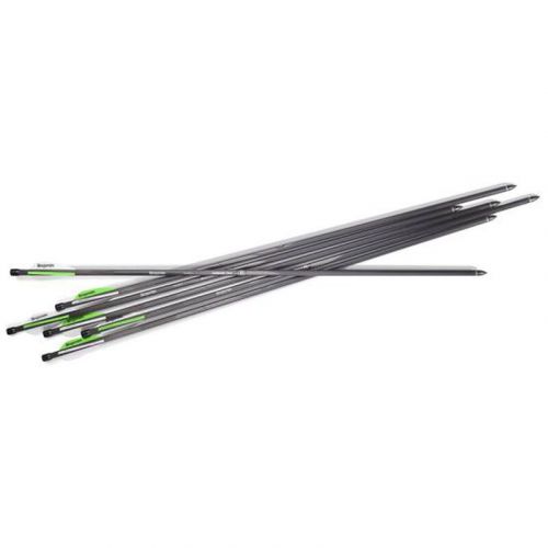 BENJAMIN PIONEER AIRBOW ARROWS