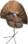 MONTANA 2D FANATIC XL GOBBLER FAN