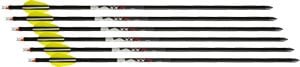 WICKED RIDGE XBOW ARROW XX75 - HEA060.6 WICKED RIDGE XBOW ARROW XX75 - HEA060.6