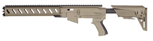 Advance Technology Ruger AR22 Stock