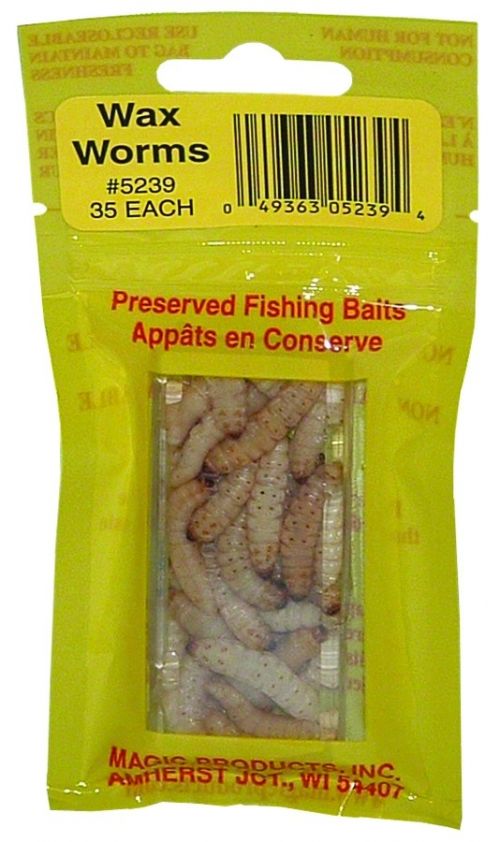 wax worms for sale amazon