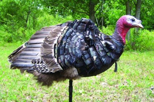 Turkey Skinz&trade; Decoy Cover