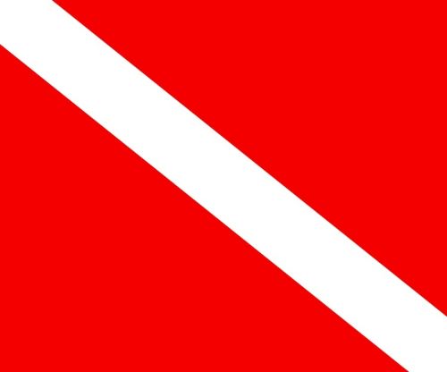 Invincible Marine Dive Flag