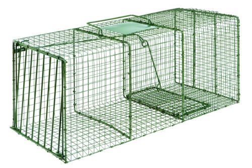 Duke Heavy Duty Cage Trap X-Large