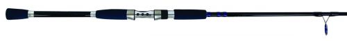 Inshore Fishing Rod