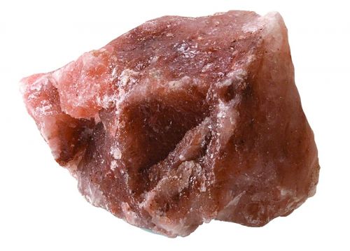 Bio Rock