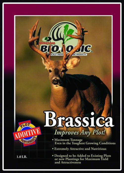 Brassica Additive