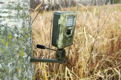 Tree Camera Mount