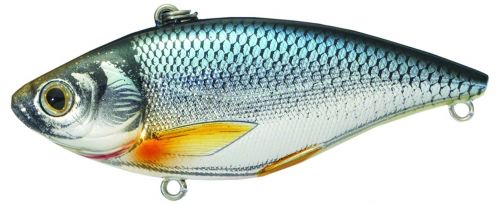 LiveTarget GS60SK201 Golden Shiner