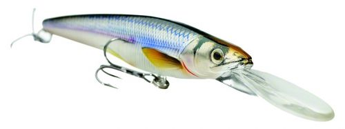 LiveTarget RS91S201 Rainbow Smelt