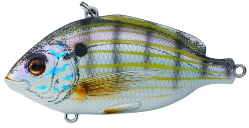 Pinfish Lipless Rattlebait