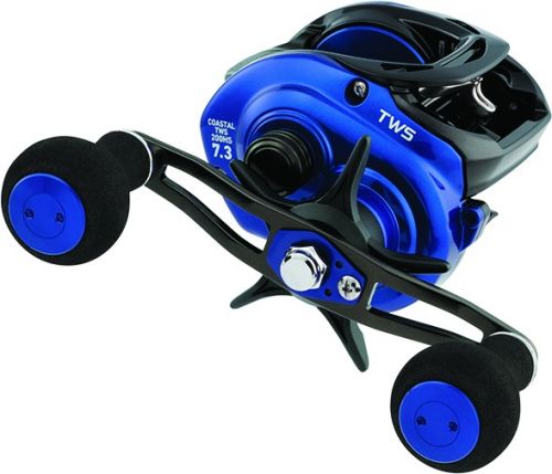 Daiwa Coastal TWS Low