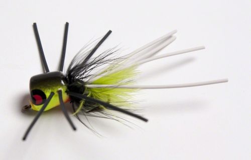 BETTS POPN HOT SZ10 - FROG/BLK/CHT