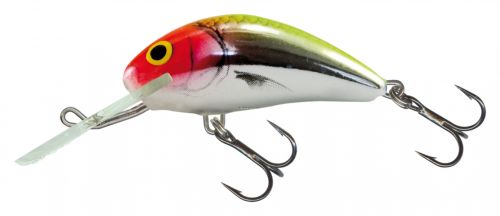 Salmo Hornet 4, 1-5/8 Green/Red/Silver