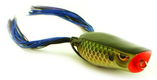 SPRO BRONZEYE FROG POPPER KILLR GIL