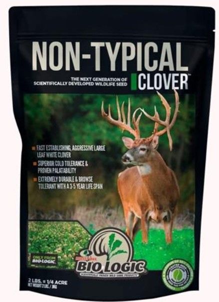 Non Typical Clove