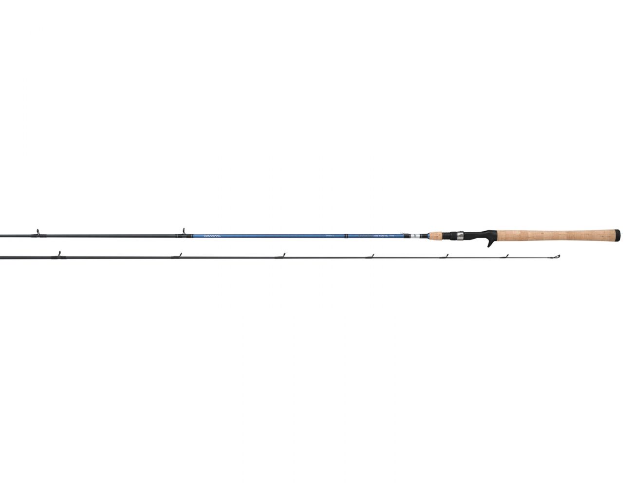 Daiwa AIRD COASTAL