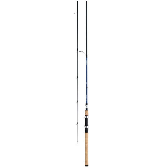 Daiwa AIRD COASTAL