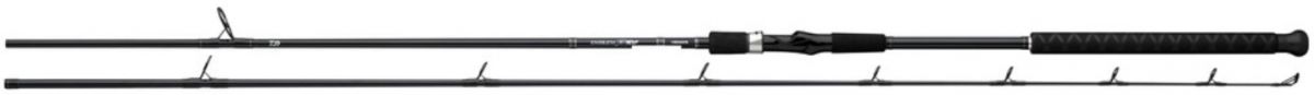 Daiwa Emblem Surf Rod