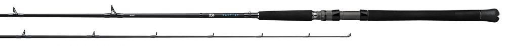 Daiwa Saltist Inshore