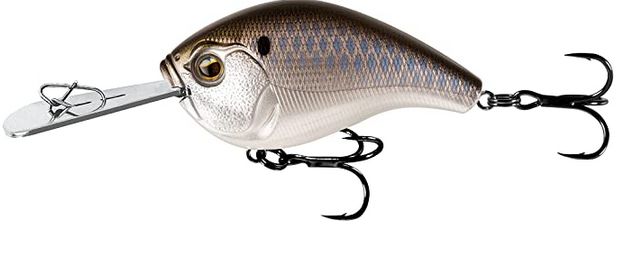 13 Fishing Jabber Jaw