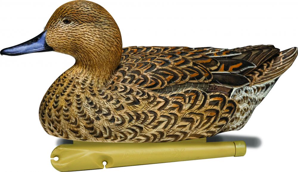 Avian-X Topflight