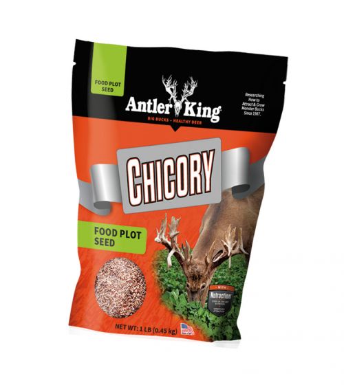 Antler King Chicory (1# bag -