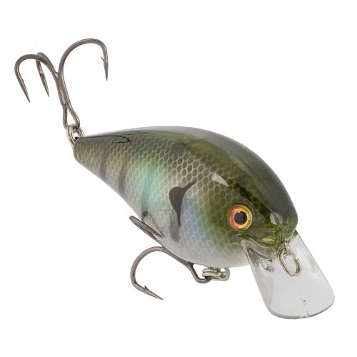 Strike King KVD Elite