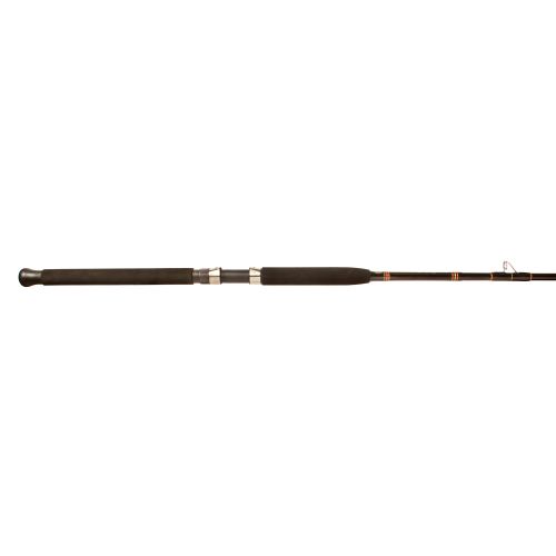 Star Rods Aerial