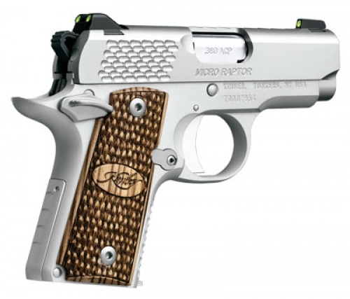 Kimber Micro Raptor Stainless 380 ACP Pistol