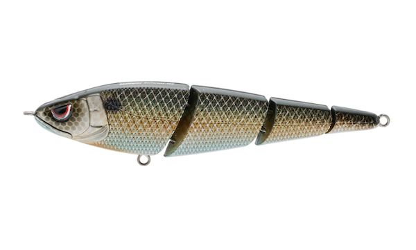 SASHIMMY SWIMMER 105 KILLER GILL