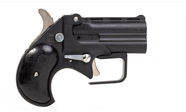 Buy Cobra Firearms - Classic Derringer, 22 Mag, 2.4" Barrel, Black,  Rosewood Grips, 2-rd Online | CL22MBR - Buds Gun Shop