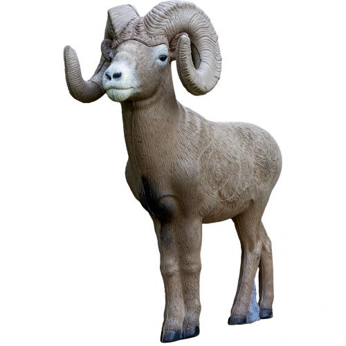 Rinehart 1/2 Scale Signature Bighorn Target