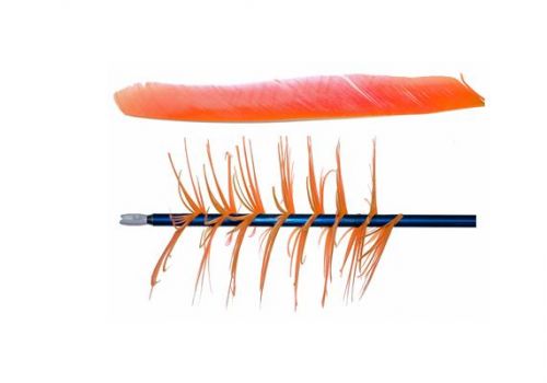 Trueflight Spiral Wrap Flu-Flu Feathers Orange RW 100 pk.