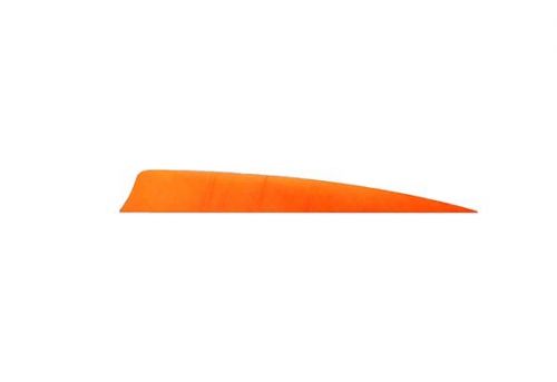 Trueflight Shield Cut Feathers Orange 4 in. RW 100 pk.