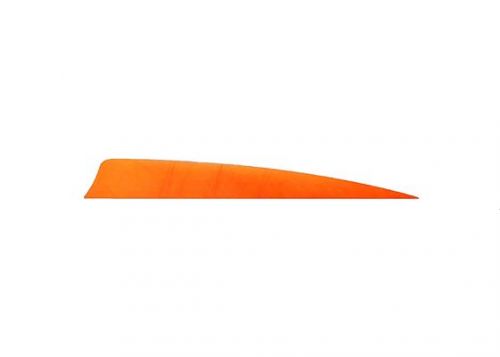 Trueflight Shield Cut Feathers Orange 4 in. LW 100 pk.