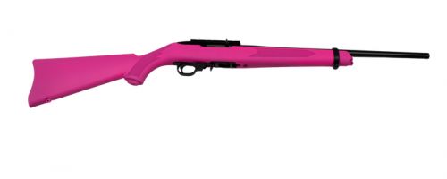 Ruger 10/22 Carbine .22 LR Semi Auto Rifle