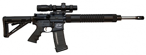 Colt Competition Expert AR-15 .223 REM/5.56 NATO Semi-Auto Rifle